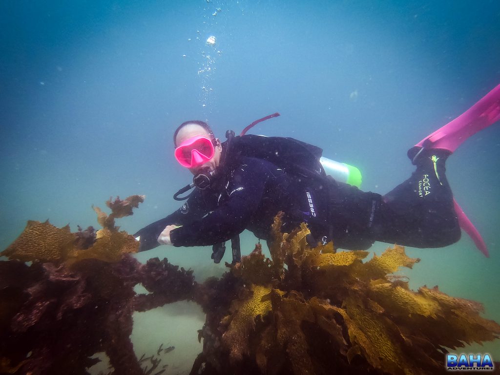 Nick on the underwater motorbike