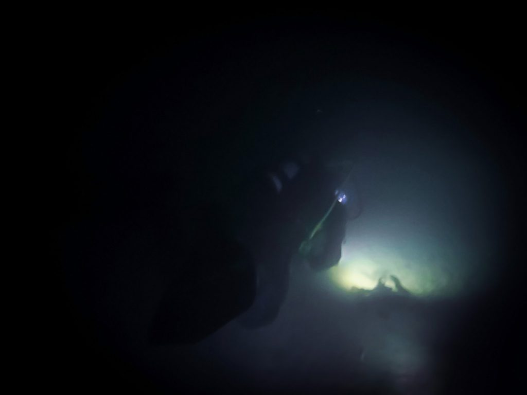 Spooky times underwater