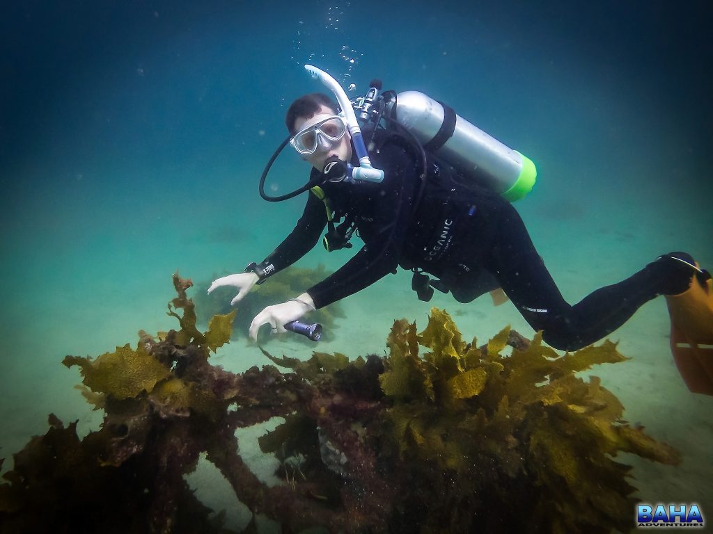 Warren on the underwater motorbike