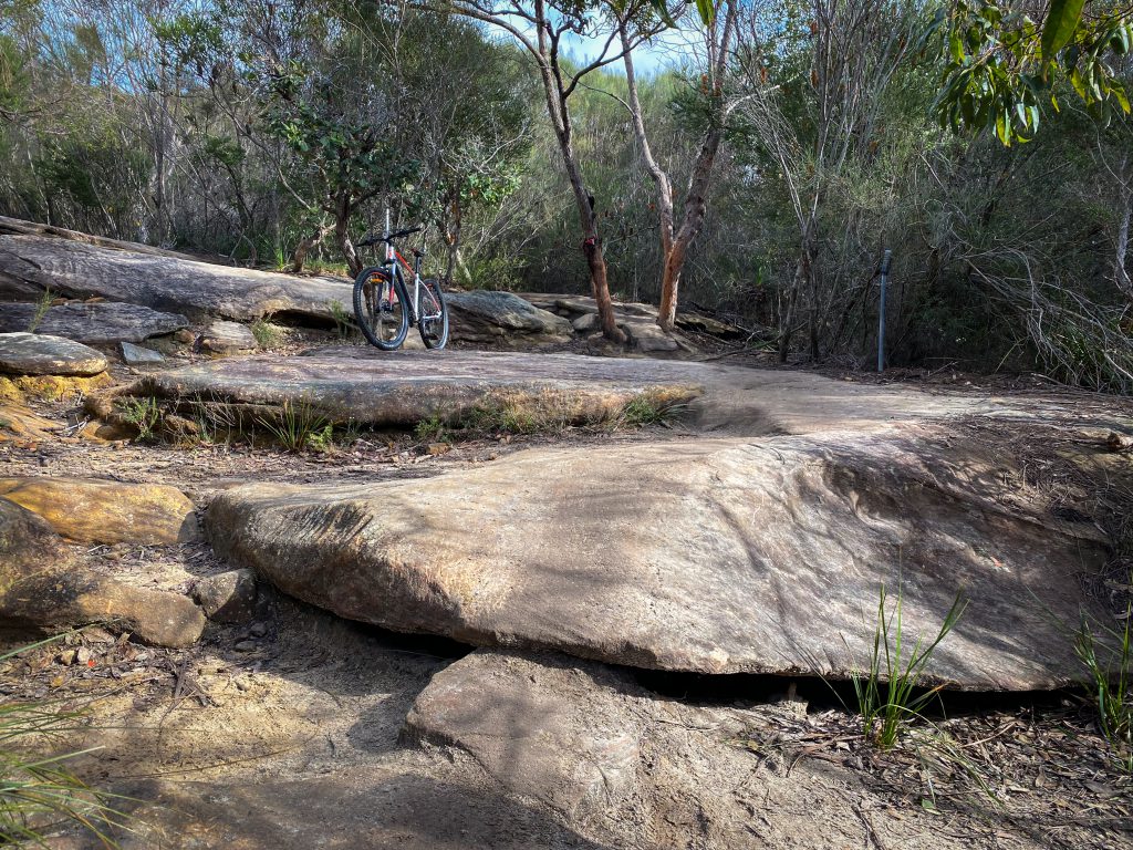 Manly Dam trail
