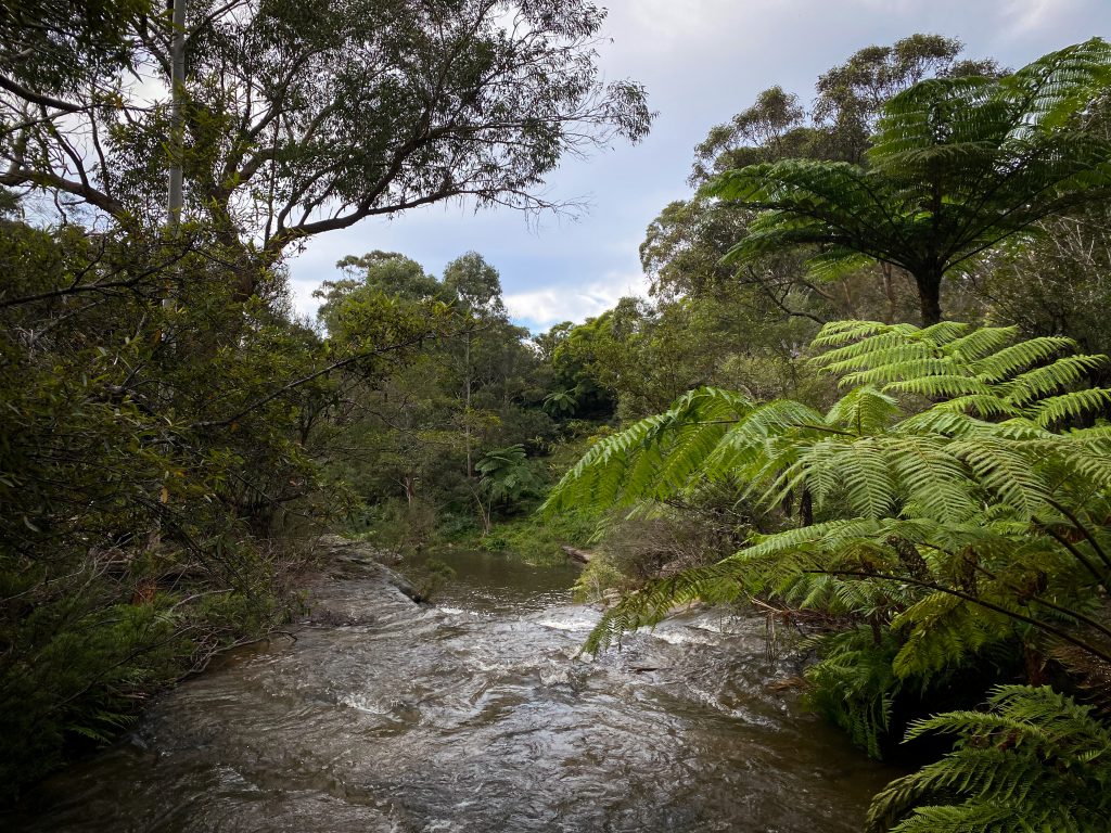 Manly Dam trail