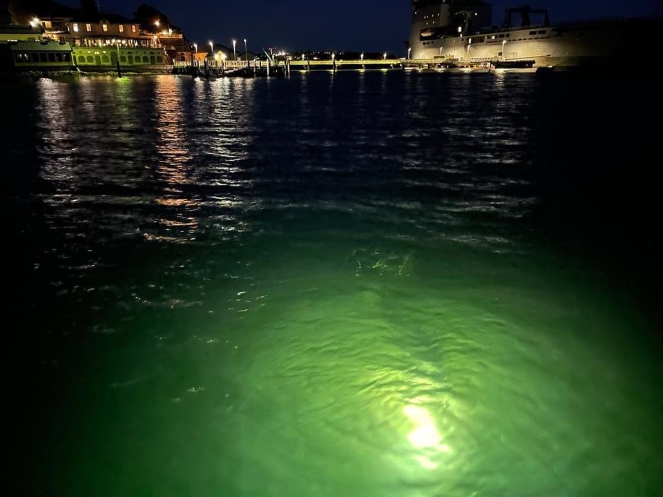 Scuba divers underwater at night