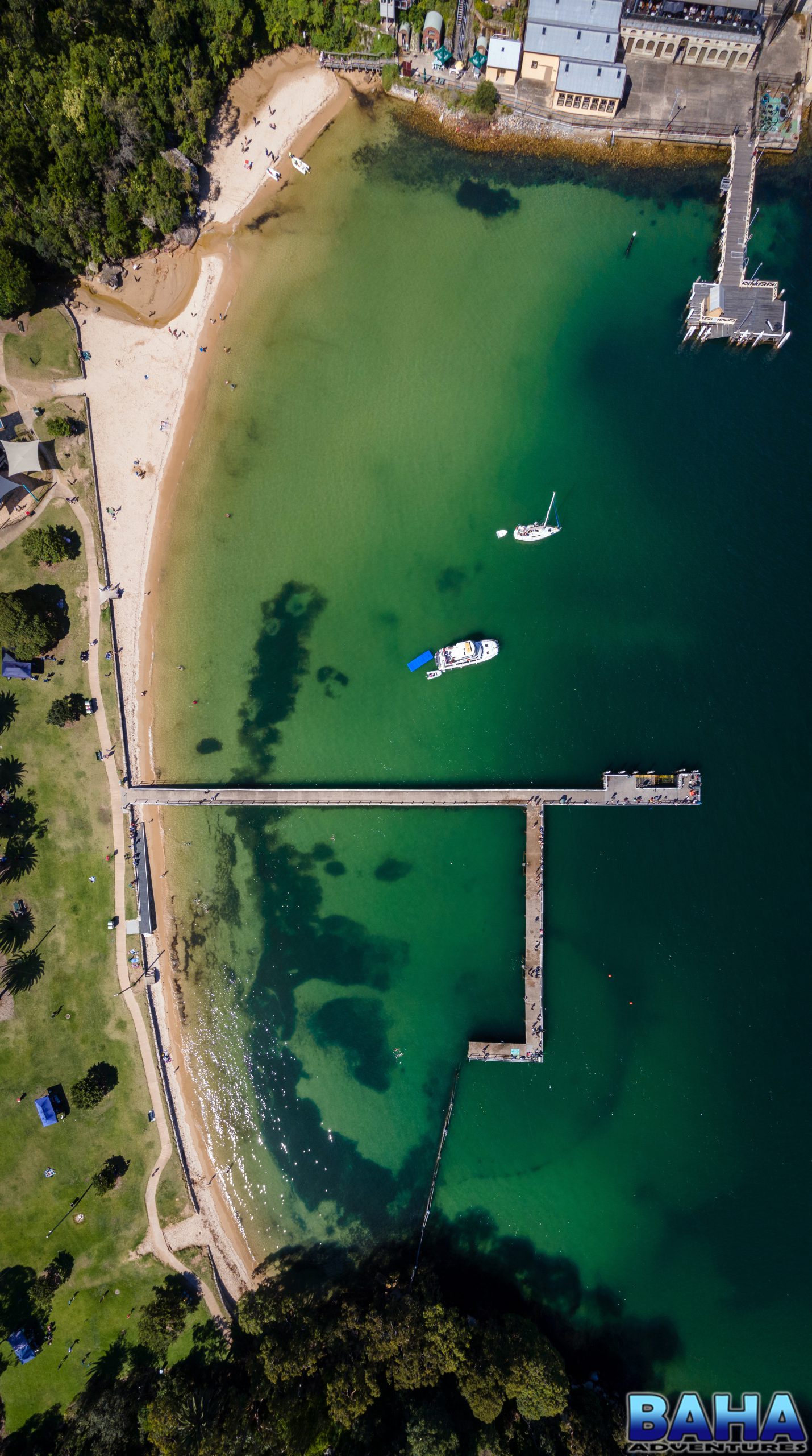 Looking down on the Clifton Gardens dive site