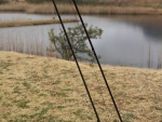 Another Rod Shot