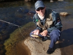 Warren With A Wild Brown