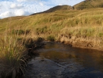 The Lotheni River