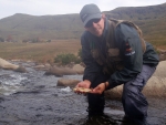 Warren With A Wild Brown