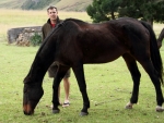 Lotheni Horses