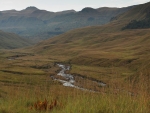 Lotheni River View