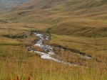 Lotheni River