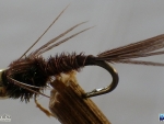 Warren Prior's PTN