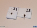 The Winning Flies