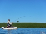 Neill Into A Fish