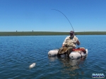 Neill Landing A Fish
