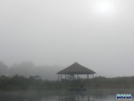 A Misty North End