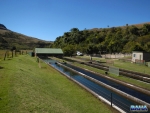 The Busman\'s River Hatchery