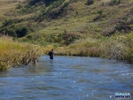 Warren fishing a run on the Bushman\'s River