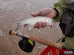 A bastard mullet