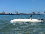 Nick testing the kayaks stability