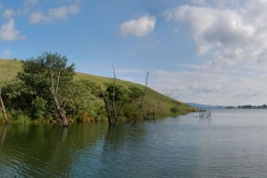 Midmar Balking