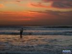 Nick throwing a fly at sunrise