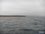 Not the best sigh fishing weather