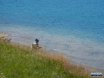 Nick hiding from fish