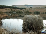 Views over Star Dam