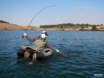 Warren landing a trout