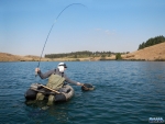 Warren landing a trout