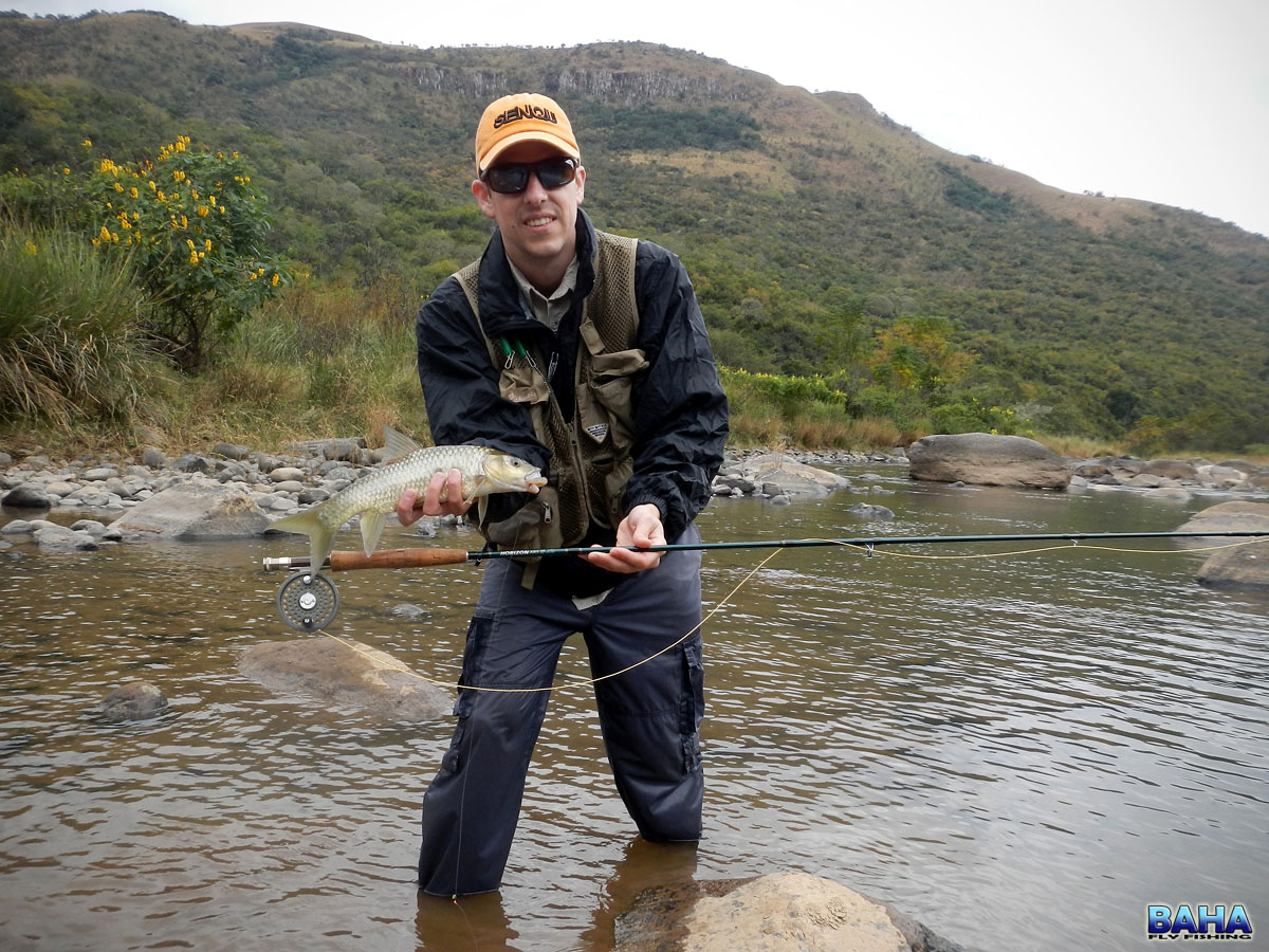 Natal Scalies On The Umkomaas