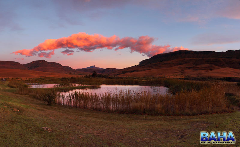 Kamberg Nature Reserve