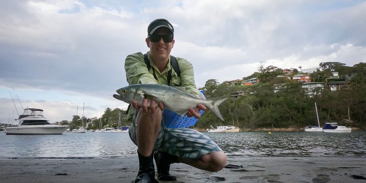 Excitement at Willoughby Creek Bay