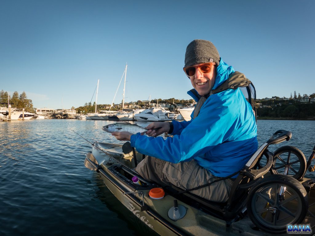 Warren with a small Australian bonito, caught trolling behind his kayak