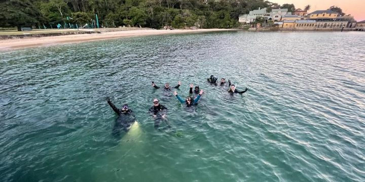 A Spooky Halloween Night Dive at Clifton Gardens