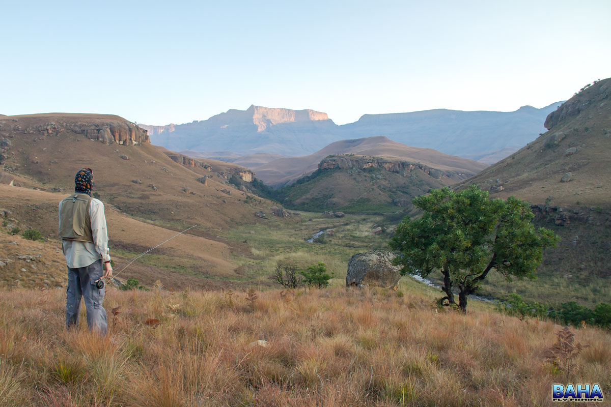 A Low Bushman’s River