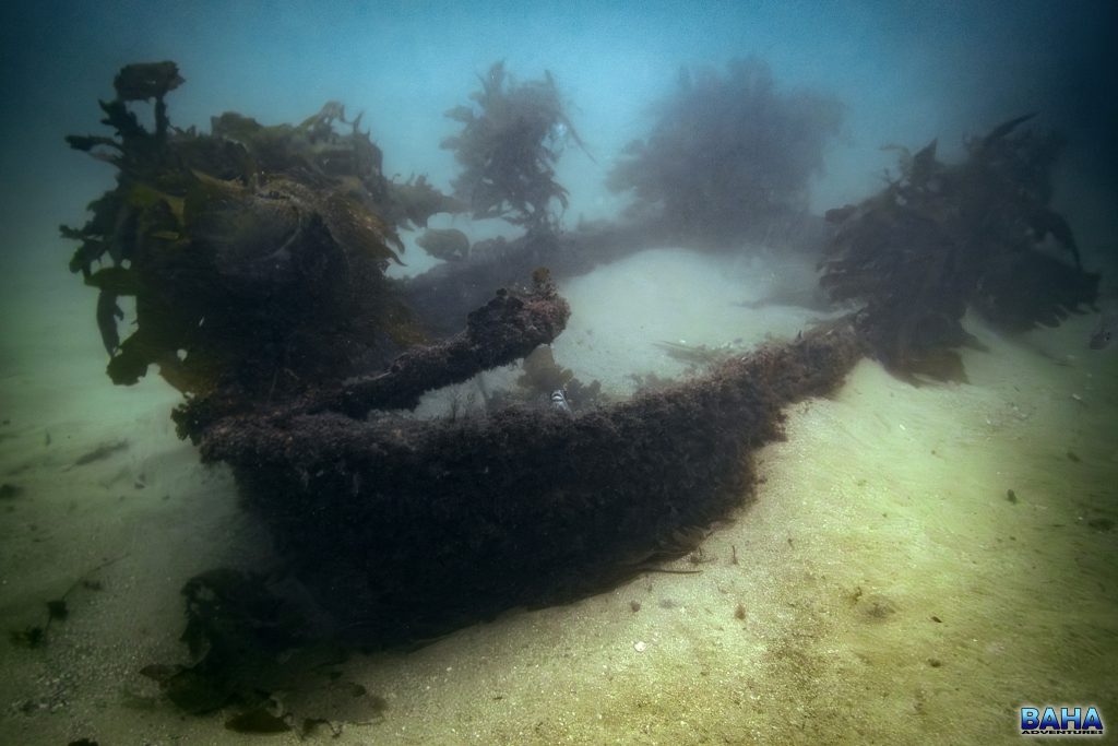 One of the small wrecks