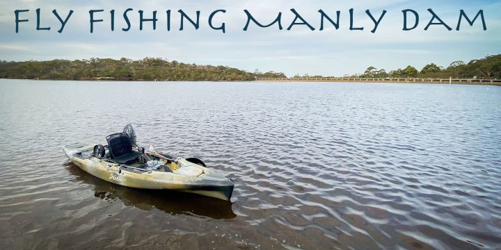 Fly Fishing Manly Dam – A Video
