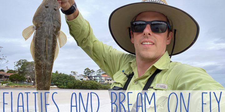 Flatties and Bream on Fly (A Video)