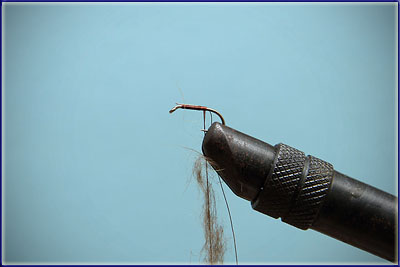 Step 2 of tying a Elk Hair Caddis