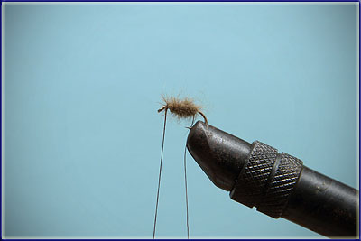 Step 3 of tying a Elk Hair Caddis