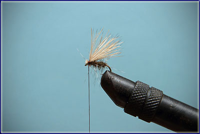 Step 7 of tying a Elk Hair Caddis