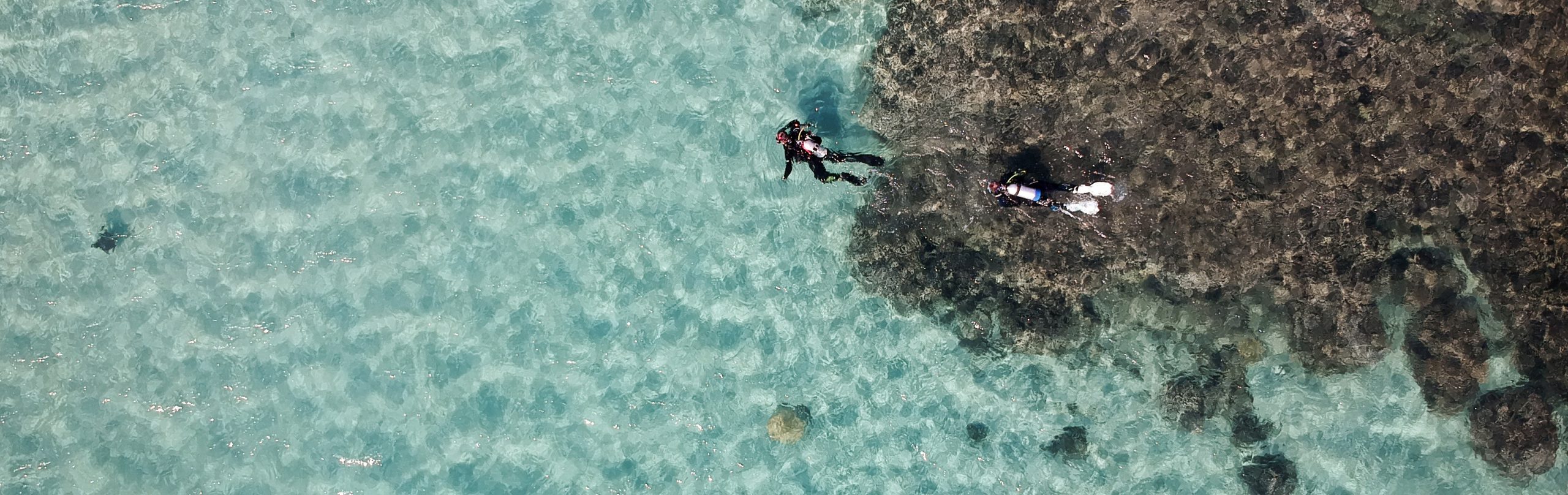 Diving the Southern Great Barrier Reef