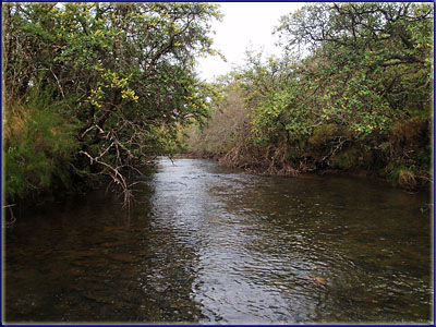 The Mooi River, Kamberg