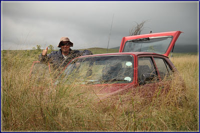 Prairie Weed And Uitzicht Grass