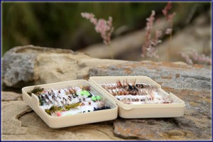 Flies For Sterkfontein