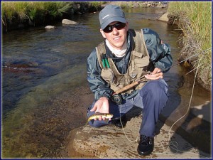 Warren With A Wild Brown