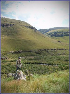 View Over The Bushmans River
