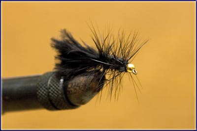 Near Death And Fly Tying